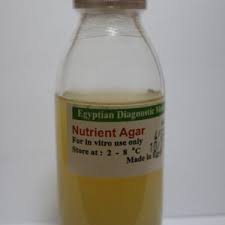 EDM Nutrient Agar 4 vials